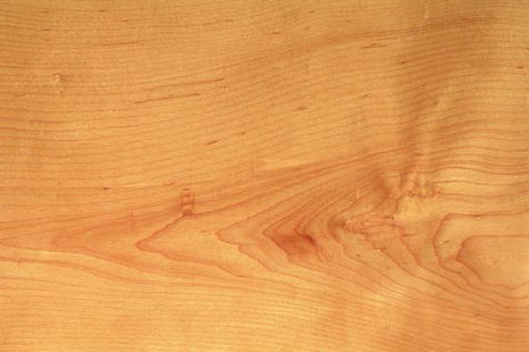 Hard Maple Veneer