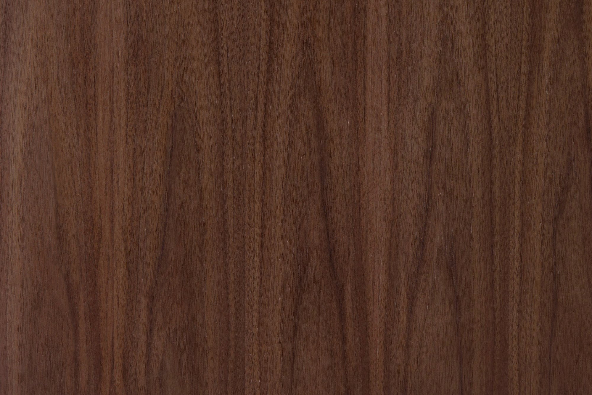 Walnut Veneer